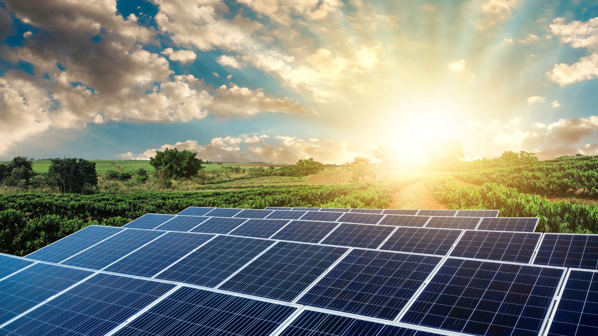 Off-Grid  Solar Systems