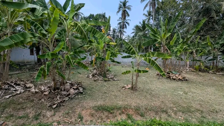 Commercial Land for Sale in Yakkala