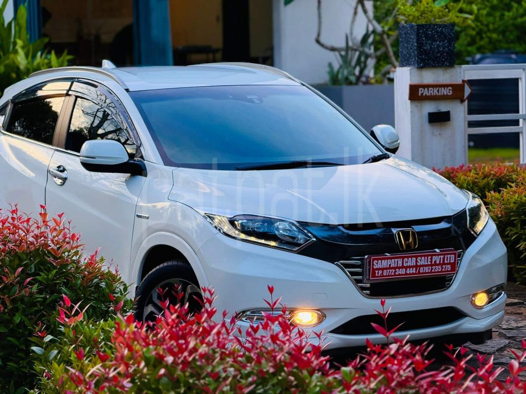 Advertisement image 3