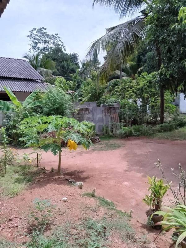 House for Sale in Divulapitiya