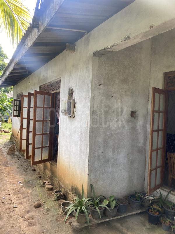 House for Sale in Beliatta ads-image-1