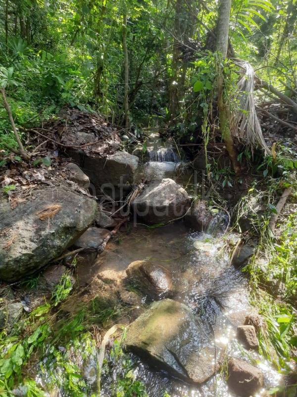 Agricultural Land for Sale in Polgahawela