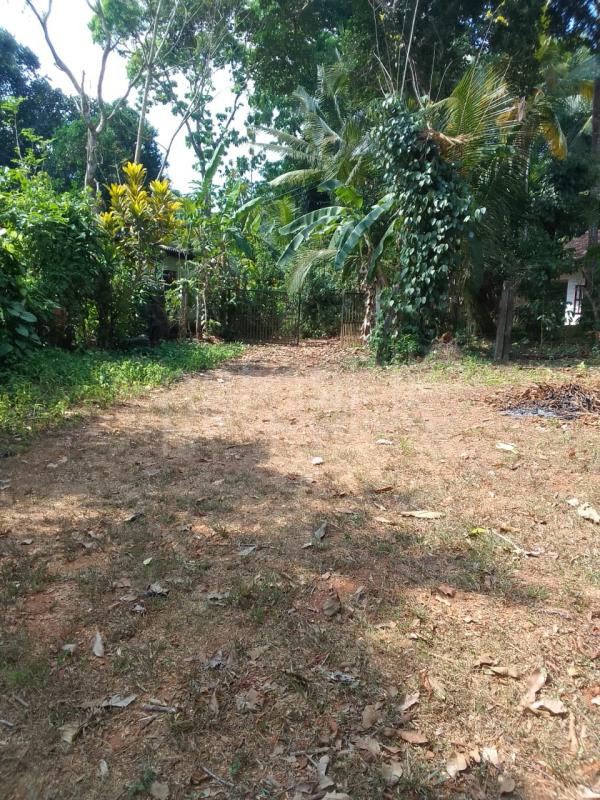 Residential Land for Sale in Minuwangoda ads-image-1