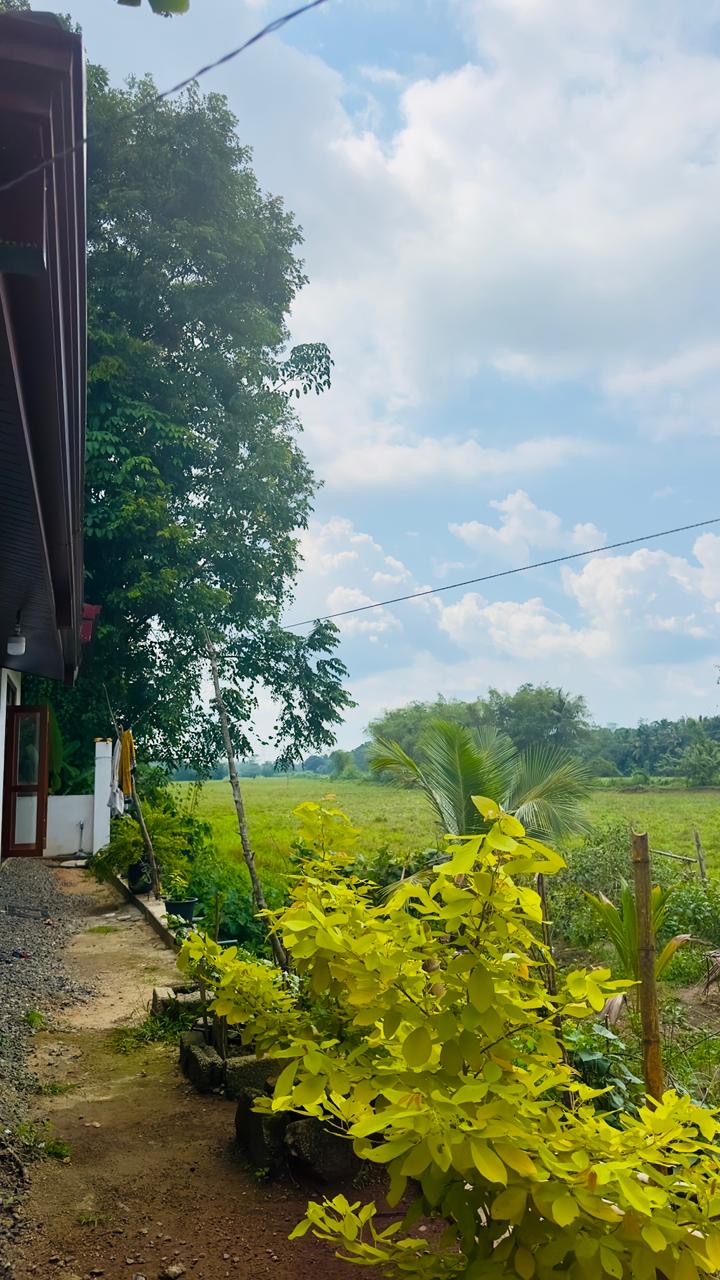 House for Sale in Padukka