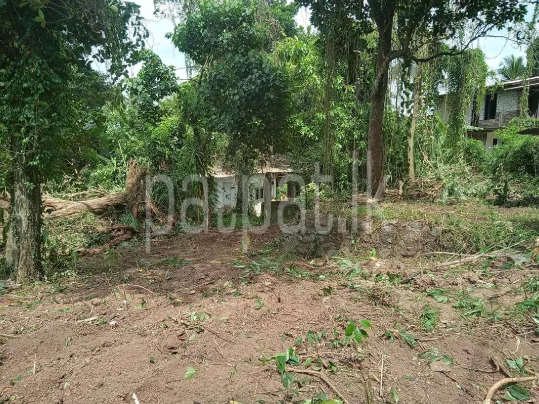 Residential Land for Sale in Ja-Ela