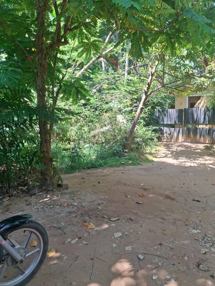 Commercial Land for Sale in Kundasale