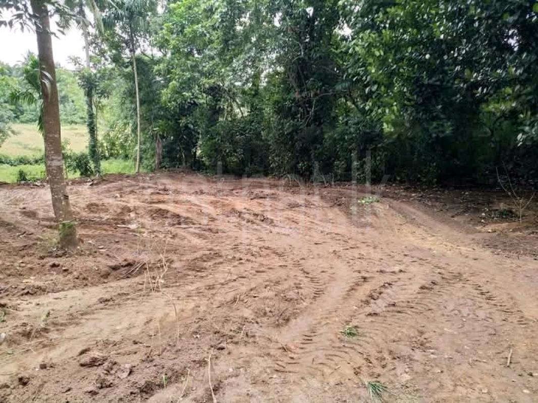 Commercial Land for Sale in Malabe