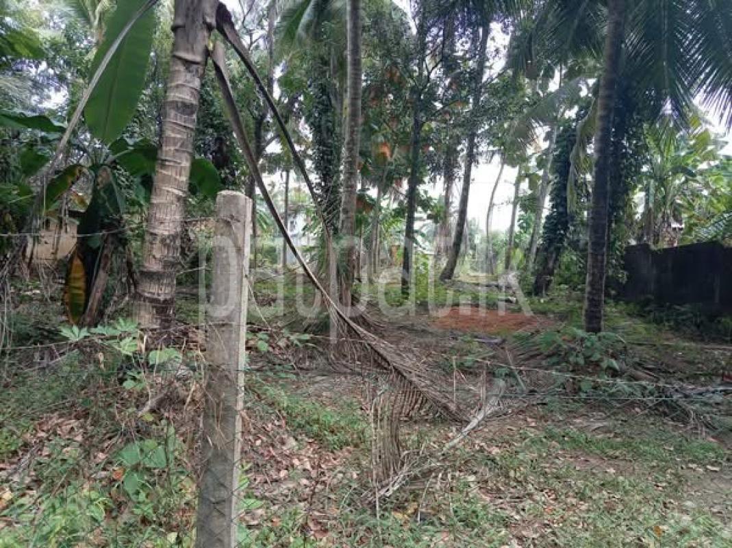 Residential Land for Sale in Kadawatha