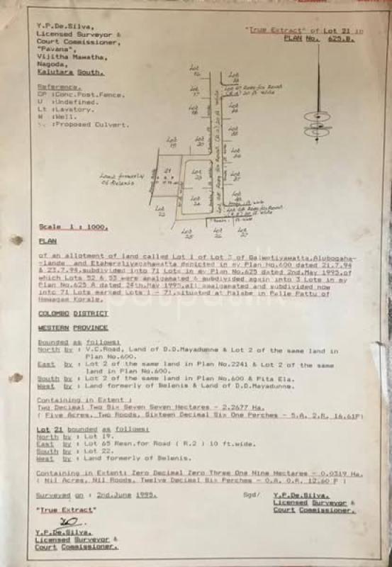 Advertisement image 5