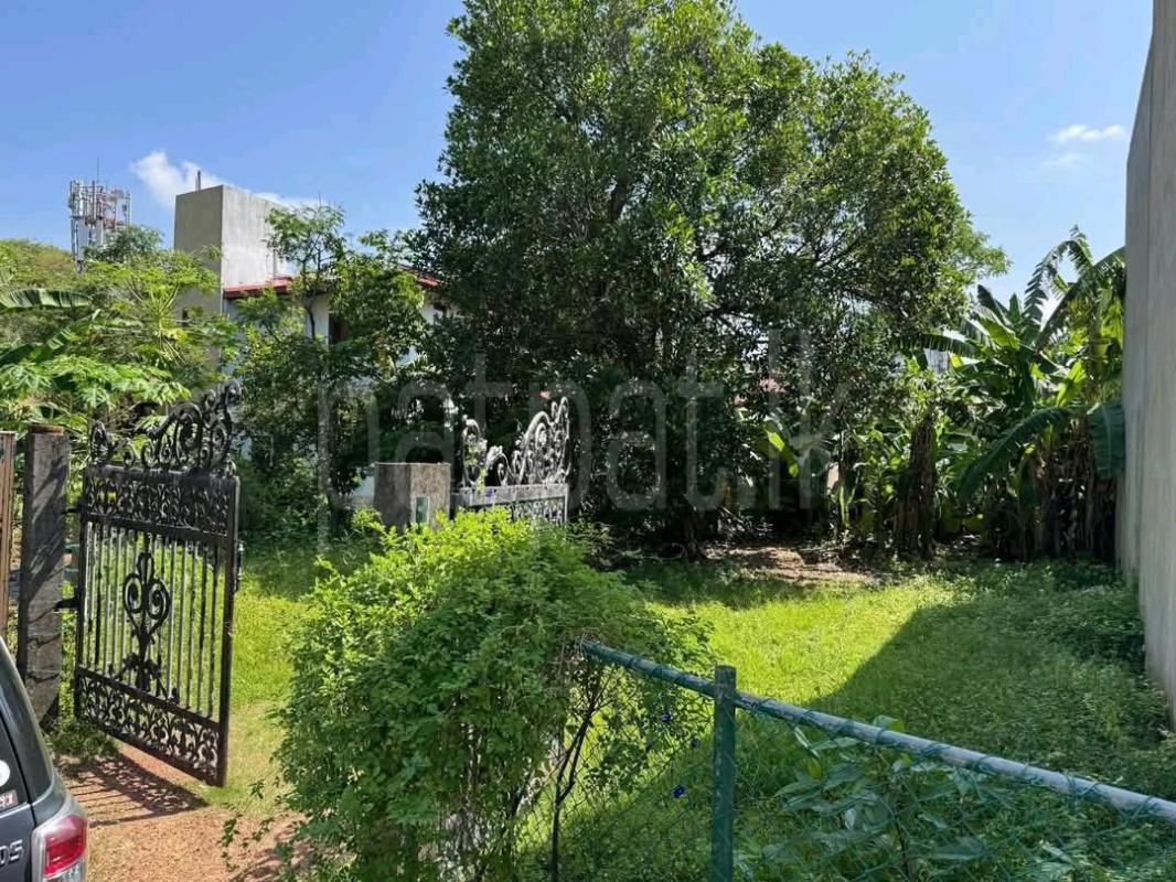 Commercial Land for Sale in Wattala ads-image-1