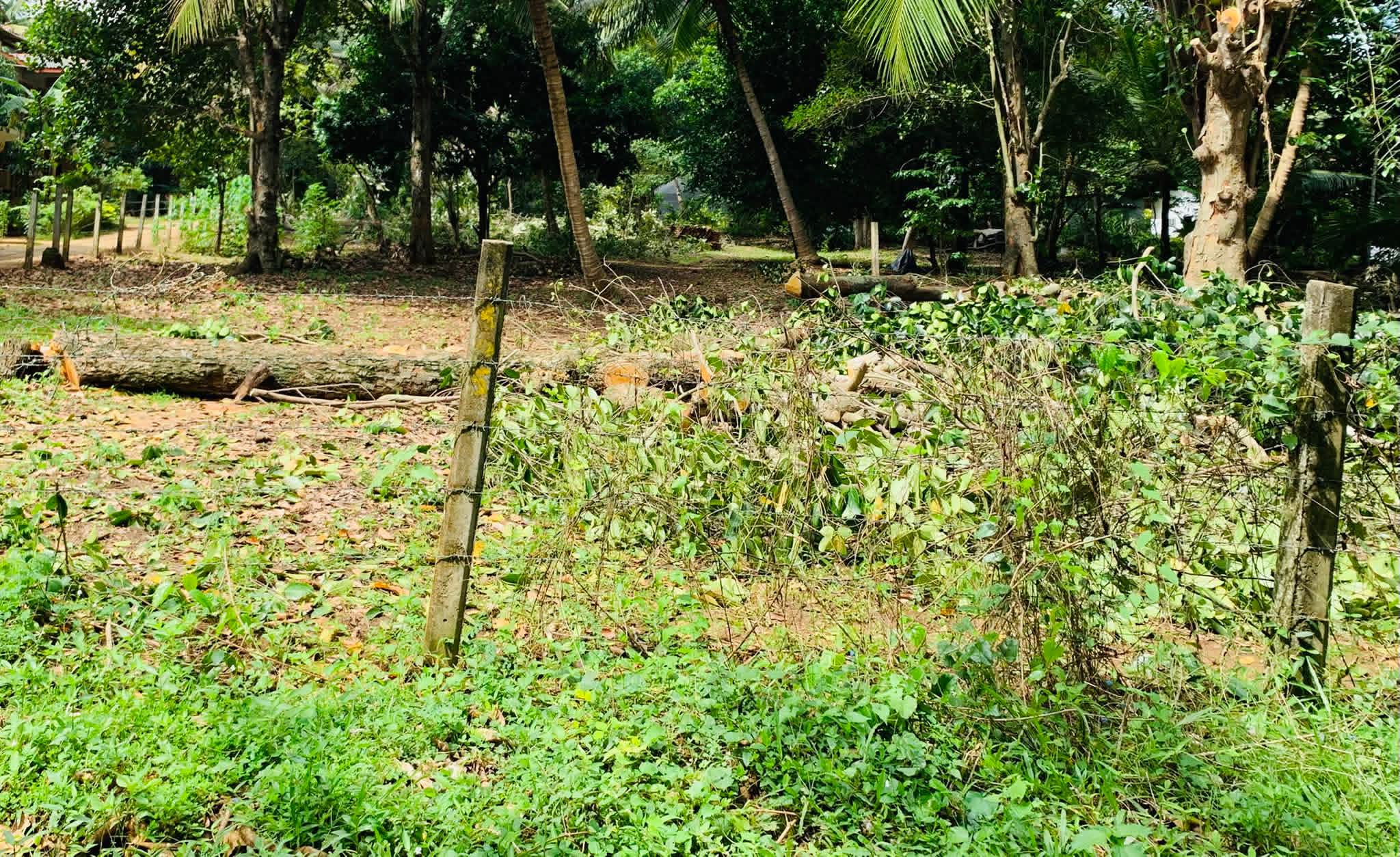 Agricultural Land for Sale in Embilipitiya