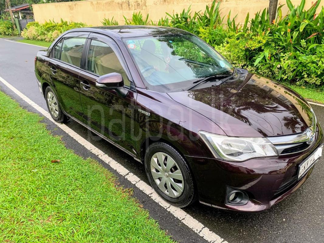 Advertisement image 3