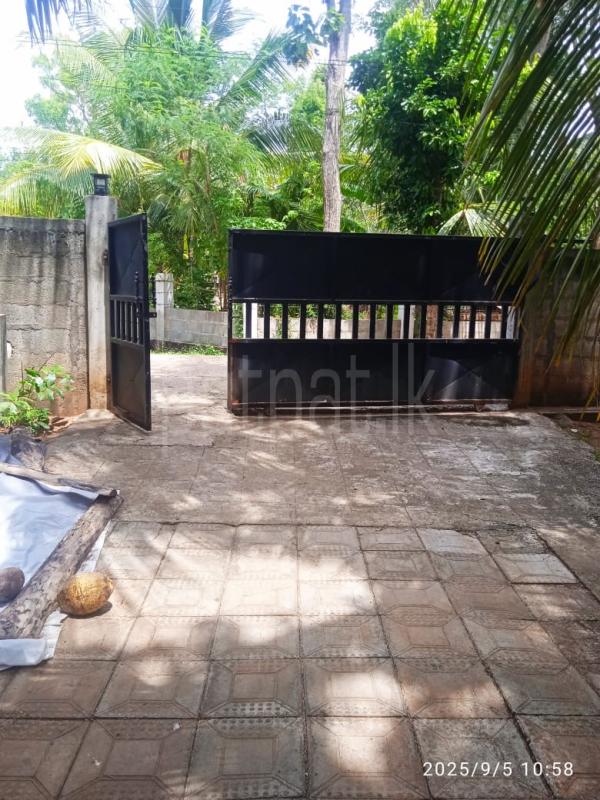 premium-listing-image