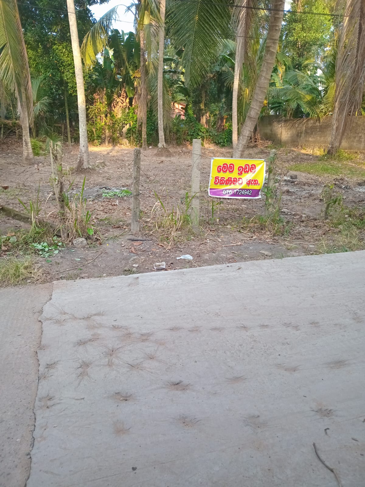 Advertisement image 5