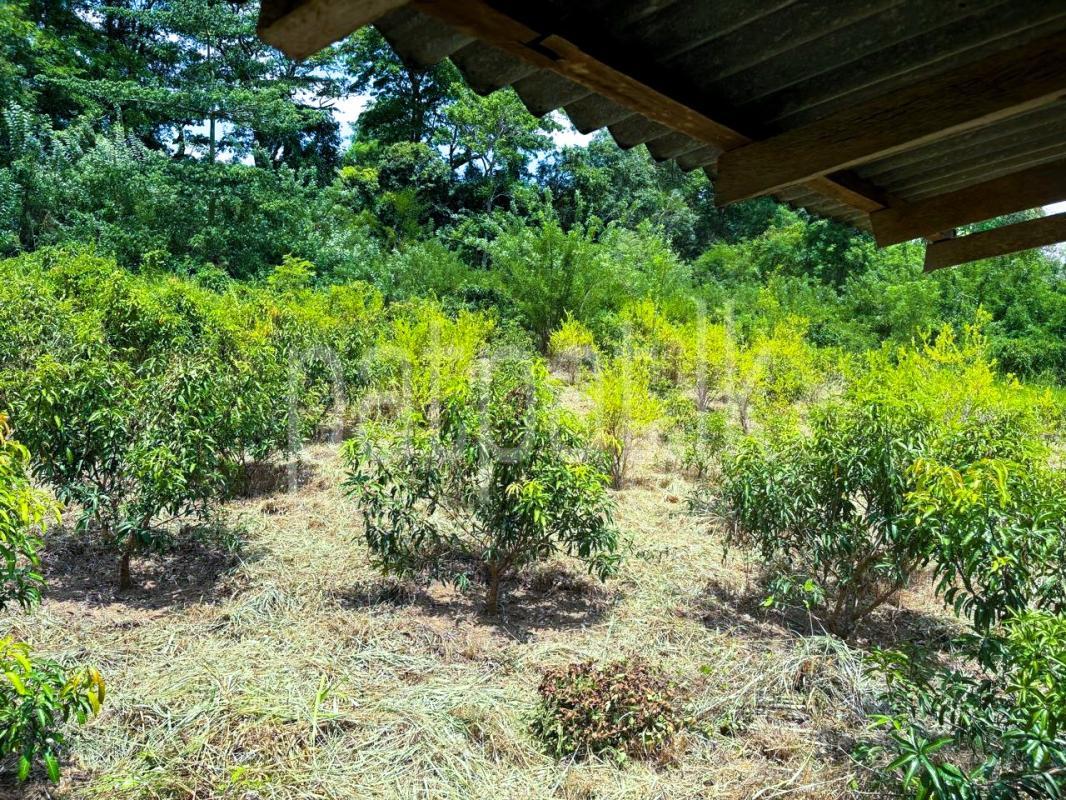 Agricultural Land for Sale in Monaragala