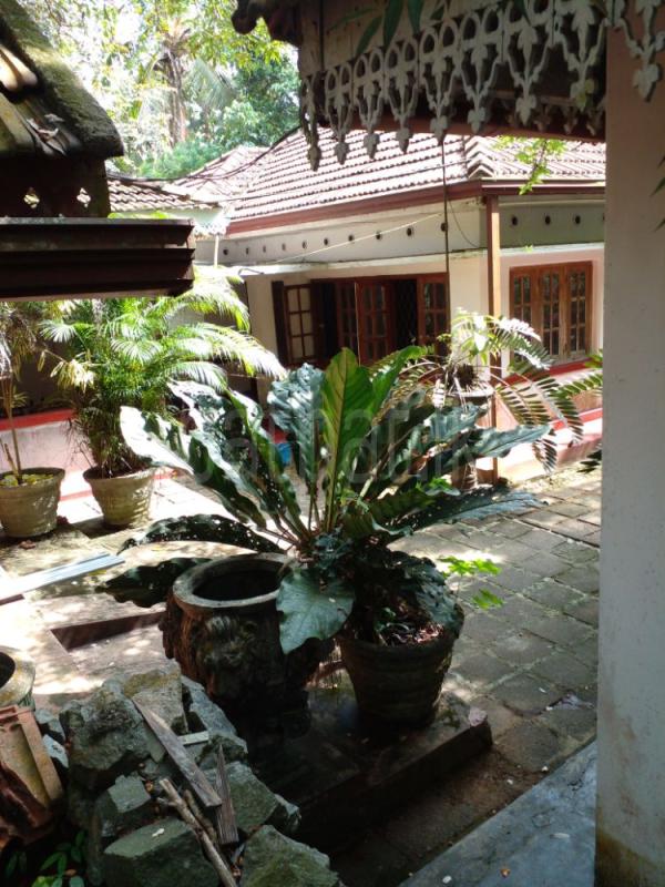 premium-listing-image