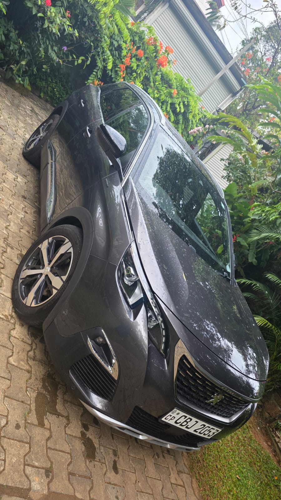 Peugeot 3008 2019 - Used SUV sale in Sri Lanka - patpat.lk