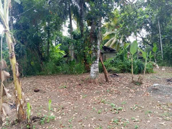 Residential Land for Sale in Bandaragama