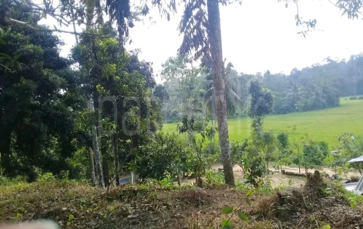 Agricultural Land for Sale in Maho