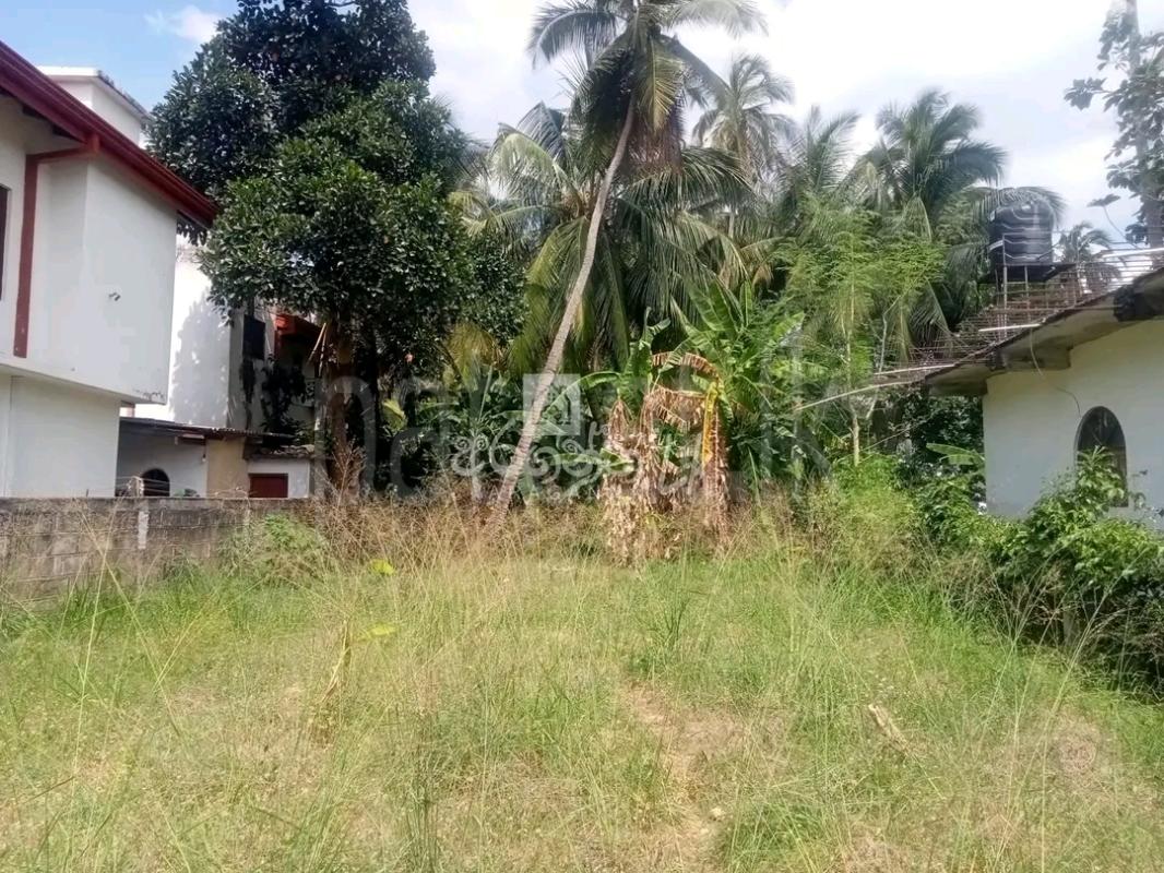 Residential Land for Sale in Kandana
