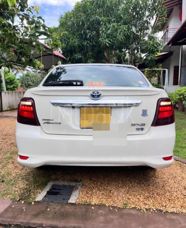 Toyota Axio Fielder 2018 - Used Car sale in Sri Lanka - patpat.lk