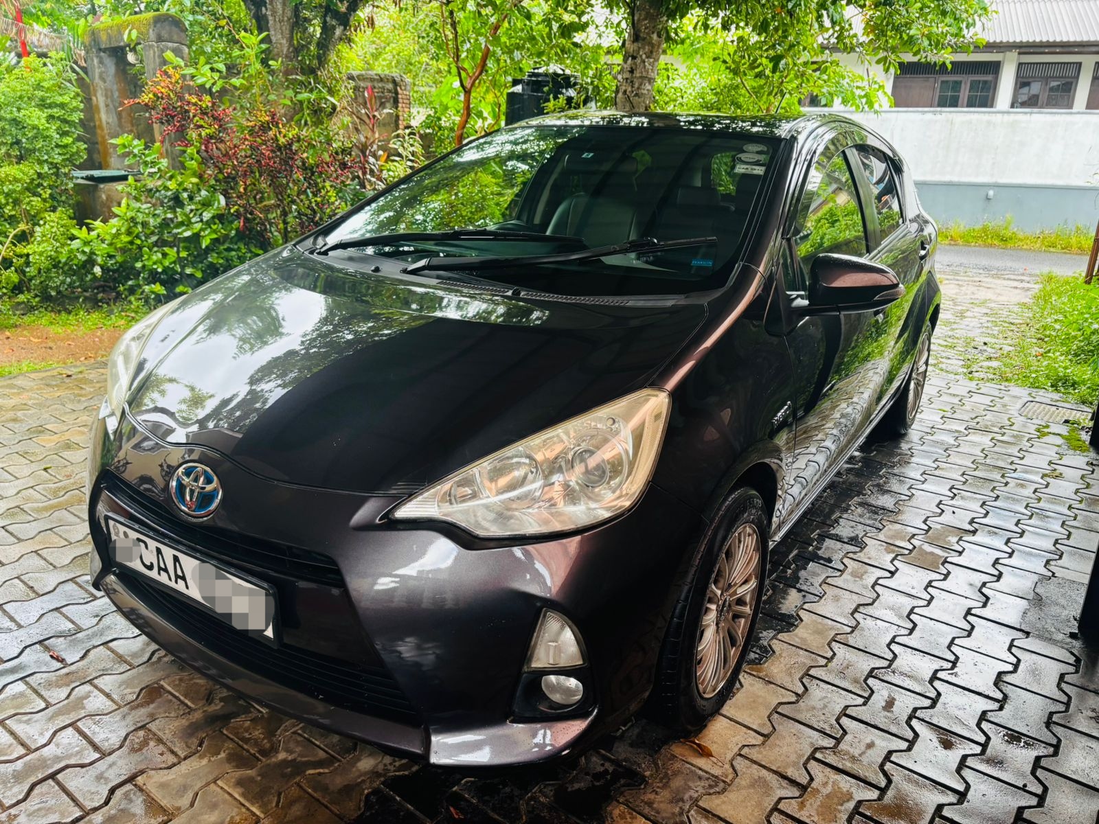 Toyota Aqua 2012 - Used Car sale in Sri Lanka - patpat.lk