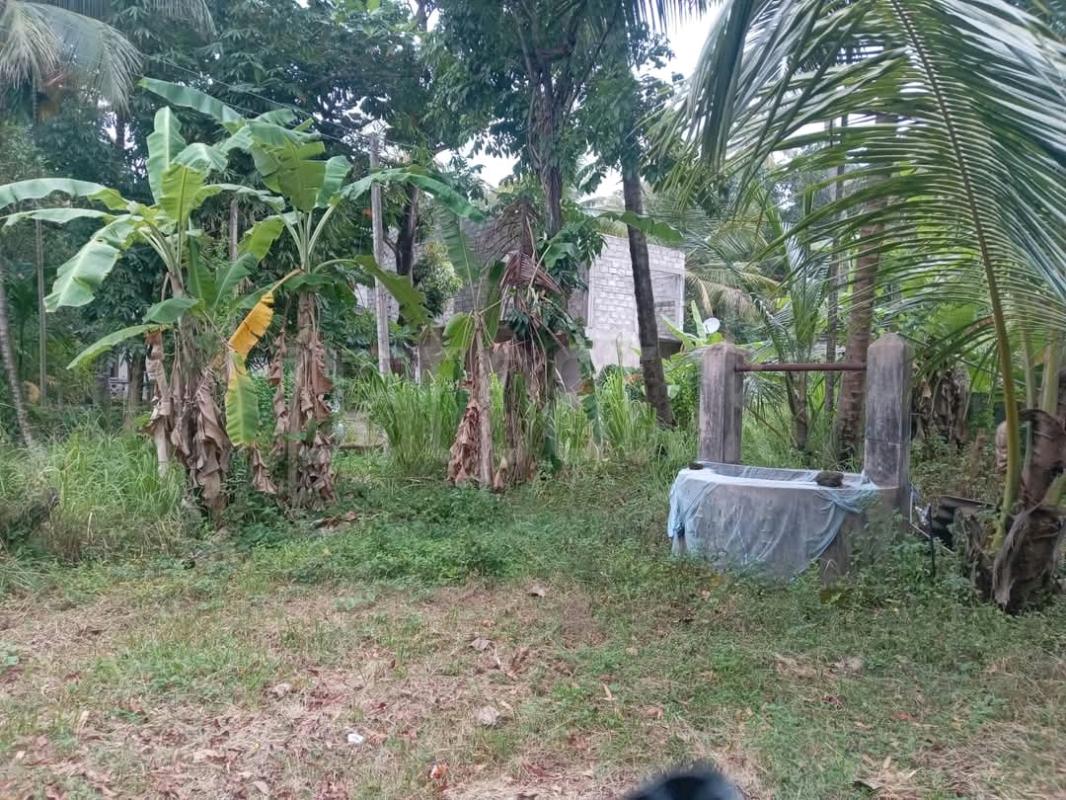 Agricultural Land for Sale in Wariyapola ads-image-1