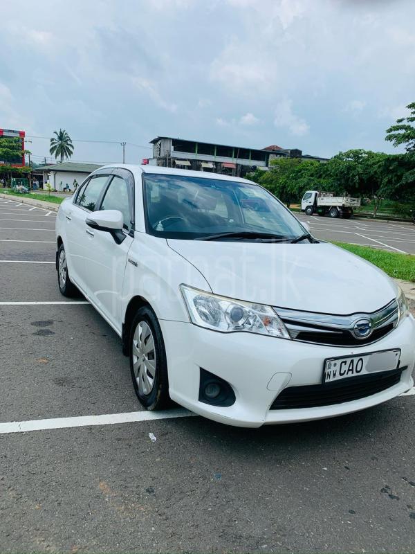 Advertisement image 3