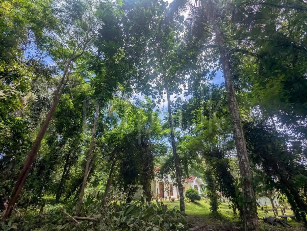 Residential Land for Sale in Minuwangoda