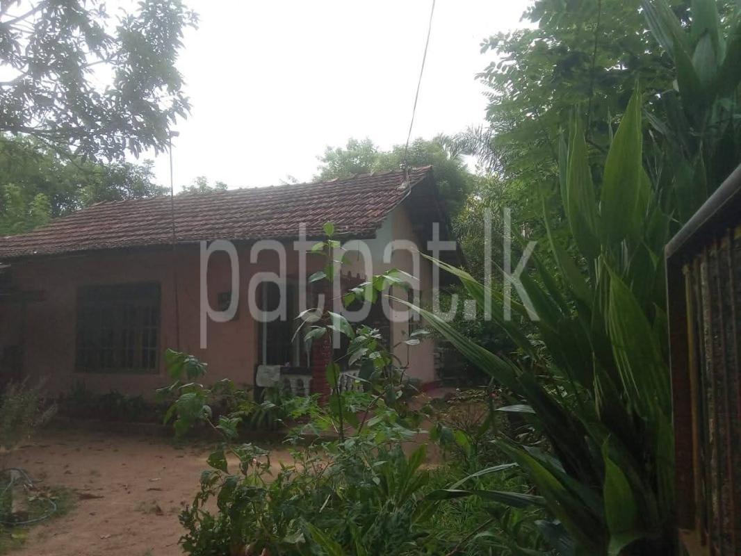 House for Sale in Divulapitiya