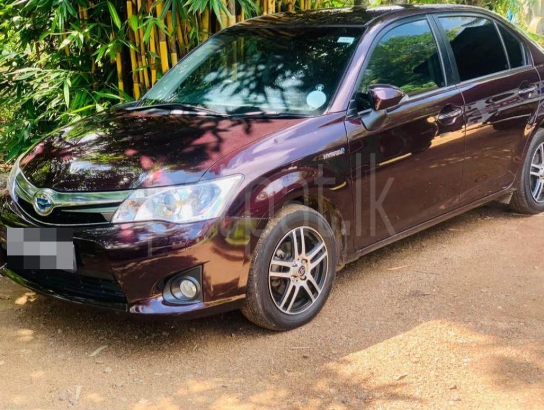 Advertisement image 2