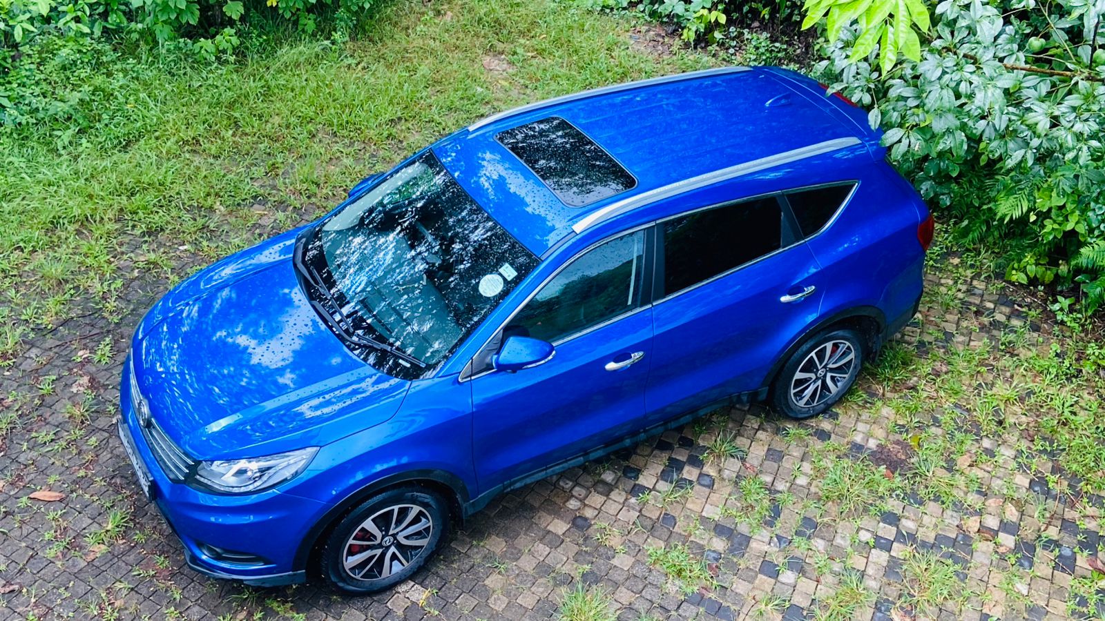 Advertisement image 3