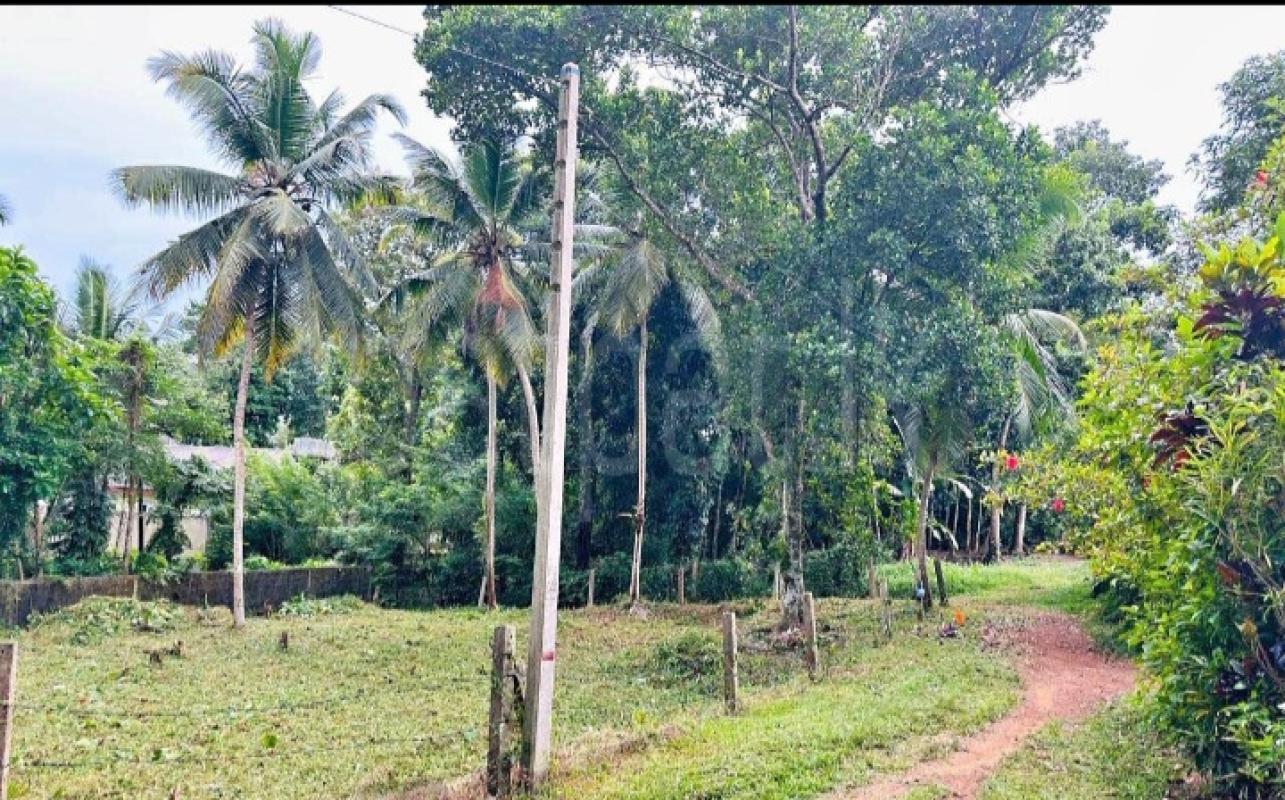 Commercial Land for Sale in Panadura ads-image-1