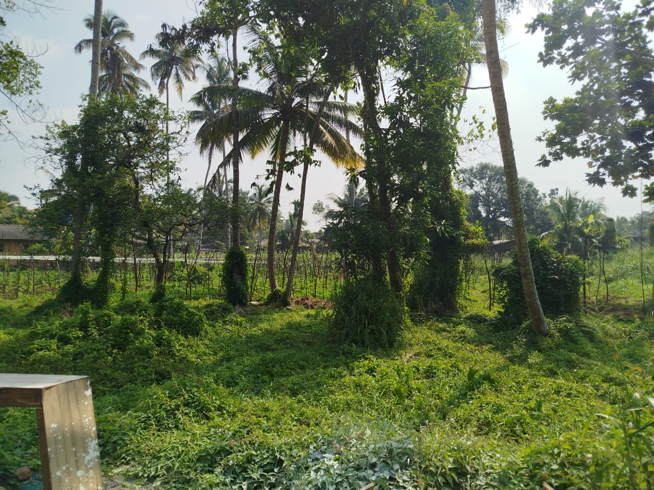 Residential Land for Sale in Beruwala ads-image-1