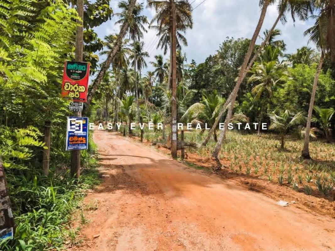 Residential Land for Sale in Mirigama