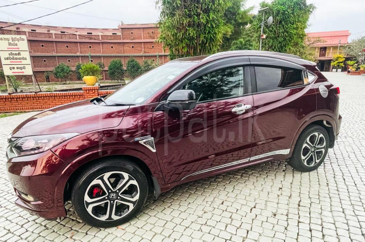 Advertisement image 2