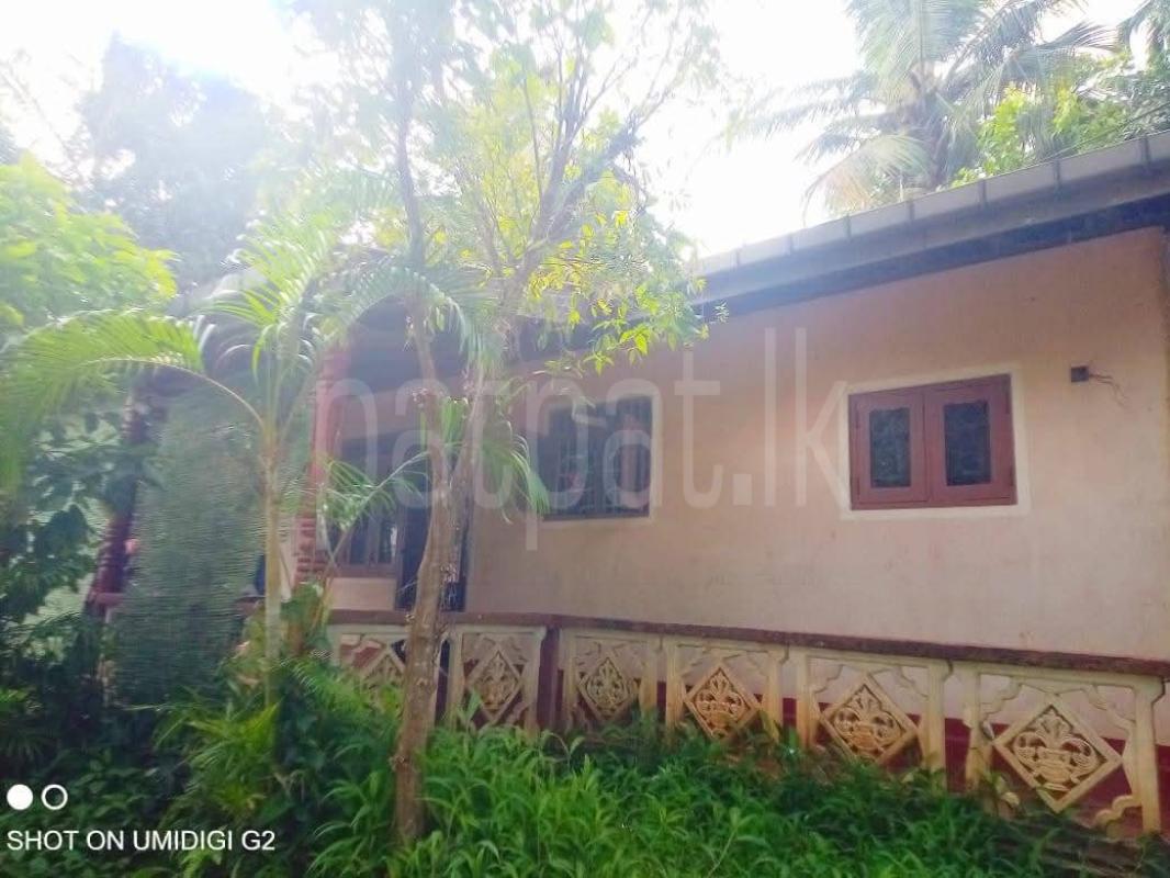 House for Sale in Divulapitiya