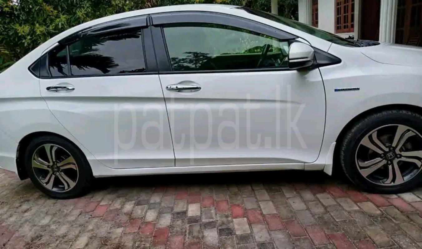 Advertisement image 3