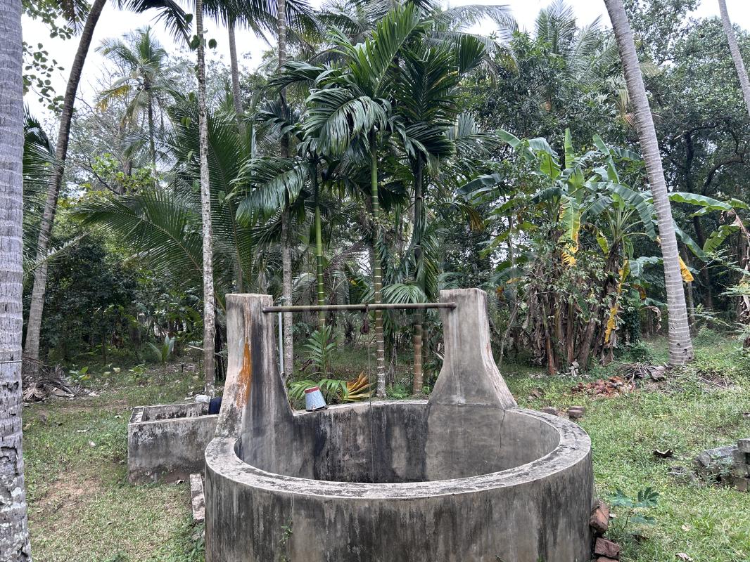 Advertisement image 14