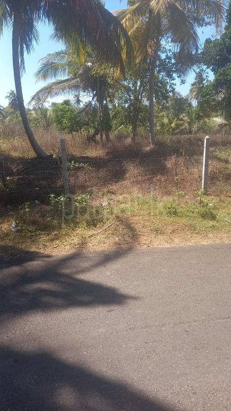 Agricultural Land for Sale in Weeraketiya