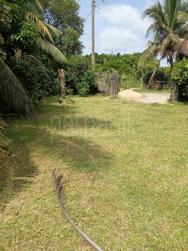Residential Land for Sale in Anuradhapura