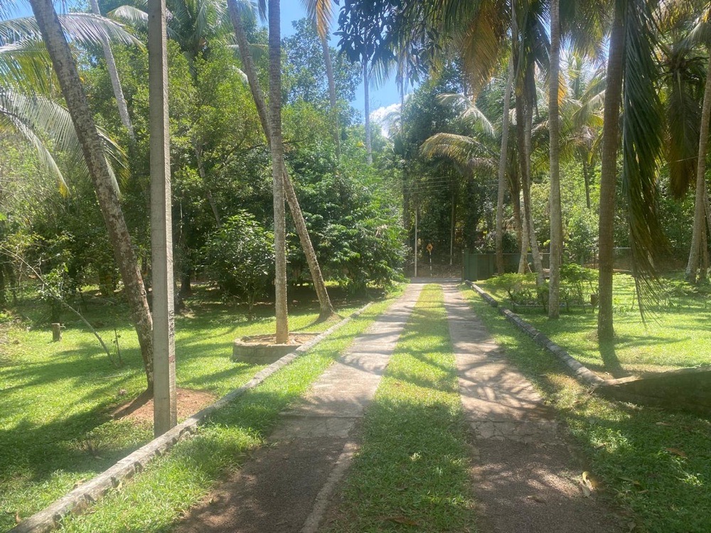 Commercial Land for Sale in Ranna