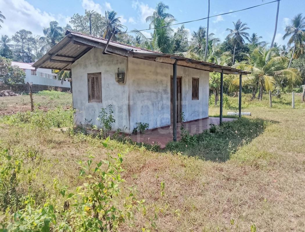 Residential Land for Sale in Weeraketiya