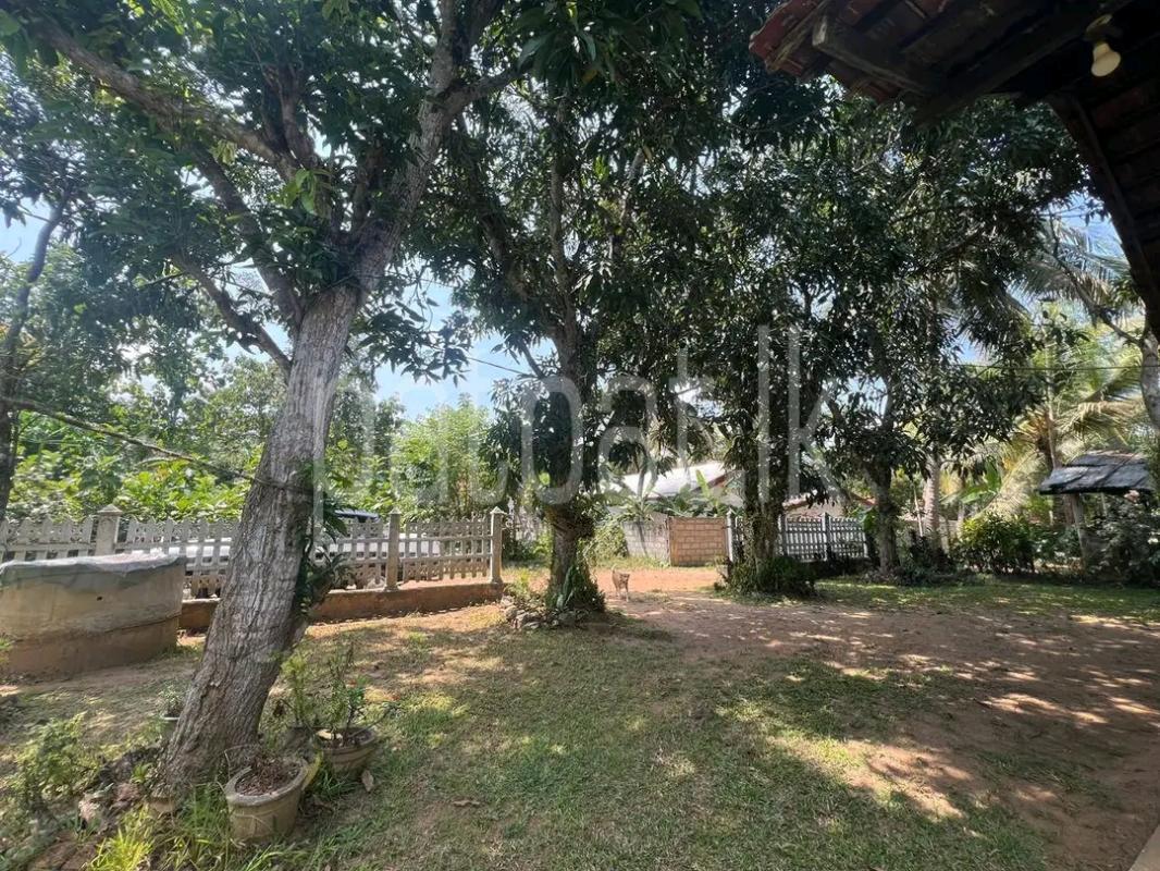 Residential Land for Sale in Wattala