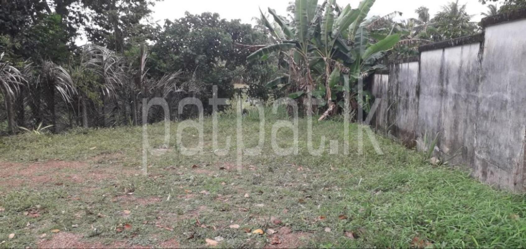 Commercial Land for Sale in Homagama ads-image-1