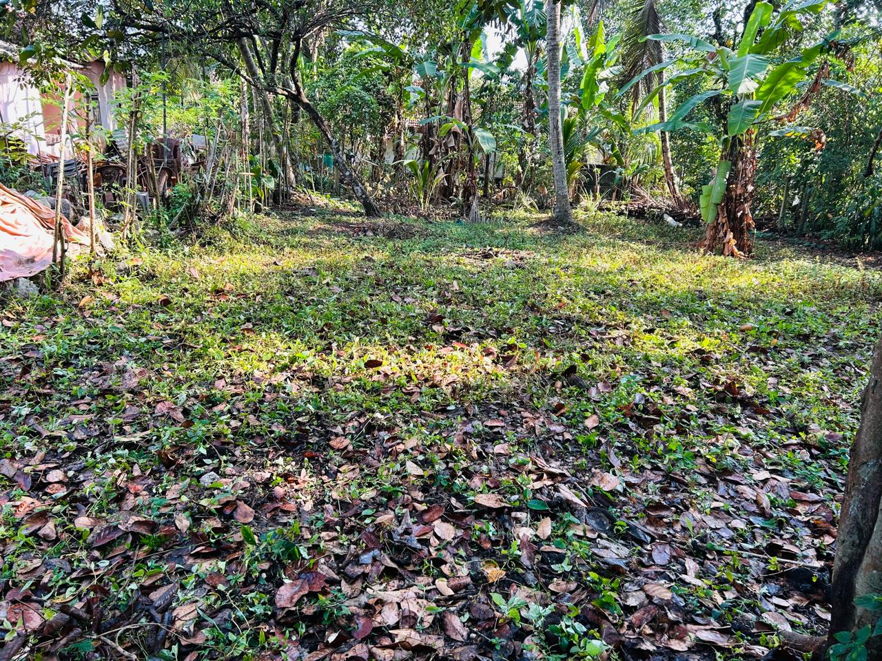 Residential Land for Sale in Ragama ads-image-1