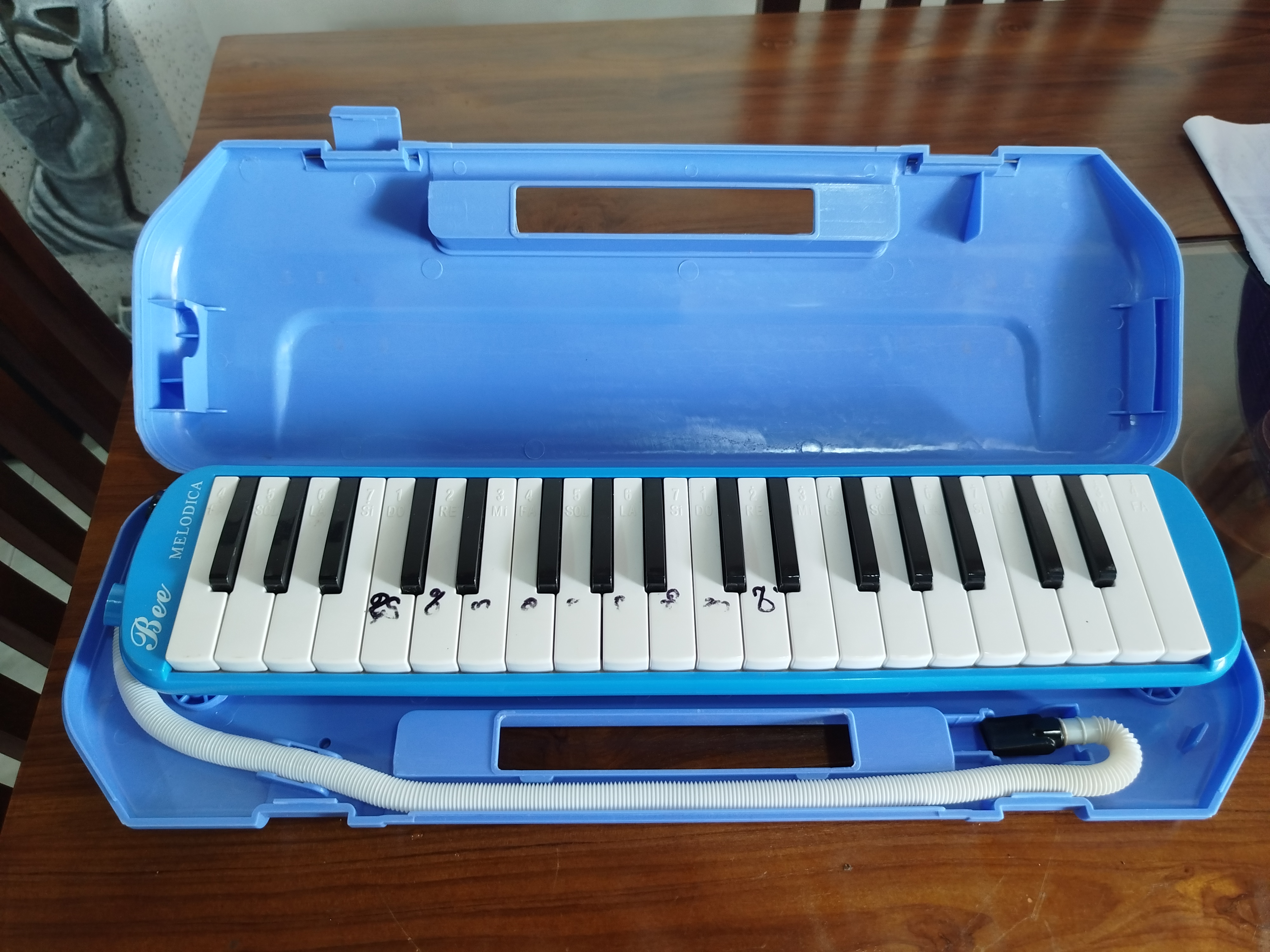Melodica ads-image-1