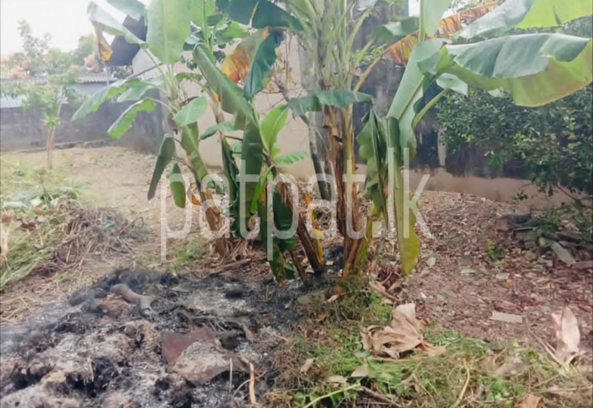 Residential Land for Sale in Pannipitiya