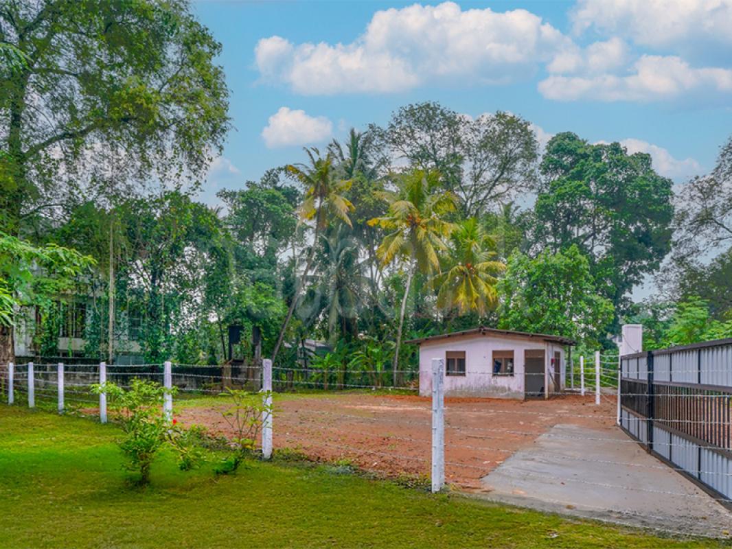Residential Land for Sale in Kelaniya