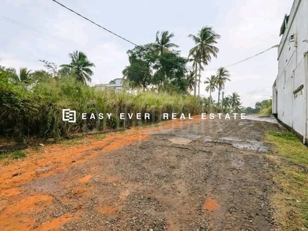 Commercial Land for Sale in Attanagalla